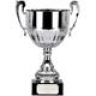 cups of all styles and sizes