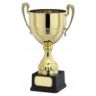 trophies and awards for all sports/activities