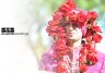 Asian Wedding photography