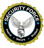 Security Force logo