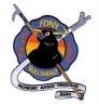 FDNY Fire Company Patch E 166 L 86