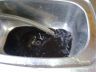 Flushing sludge out of heating system