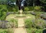 garden with flower beds