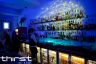 The White Room Bar