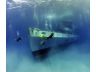 Diving on the Cayman Islands