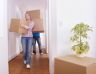 Furniture Removals