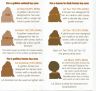LA tanning Co. colour chart