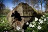 Spring has Sprung!