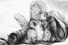 Still Life Composition