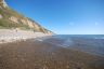 Axmouth beach