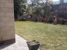 Before gardening services