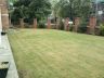 After gardening services