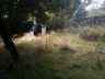 Before gardening services