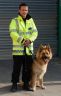 Security Dog Handler