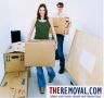 www.theremoval.com