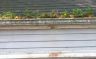 blocked gutters can cause your gutters to sag and pull away from the building, they can also cause d