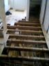 Repairs and Replace floor