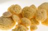 Natural Sea Sponges Collection