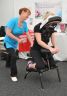 seated massage at an event