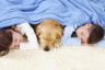 children-and-dog-asleep-on-carpet-min