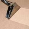 carpetcleaningglasgow