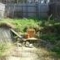 garden clearance