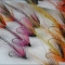 A boxed selection of salmon flies including Cascades and Ally's Shrimps.