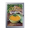 Outdoor poster display in a locking poster case