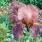 Interesting colour combinations