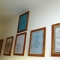 Helen Lesser qualifications