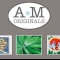 website home page