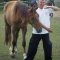 Tai Chi with horses