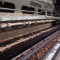Weaver at Axminster Carpets