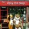 Our Shop