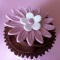 Chocolate Cupcake