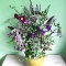 organic, wild flowers