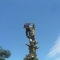 Rob Jones dismantling a medium sized Norway Spruce in Yarpole, Herefordshire.