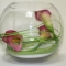 Goldfish Bowl