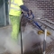 Steam Cleaning