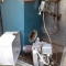 Warflow Boiler and Reillo Burner service