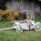 Bridesmaid Pumpkin Carriage