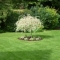 Garden Maintenance
