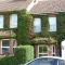 Ivy on House Maintenance