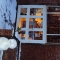 Winter Showroom 2011