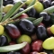 Fresh Olives