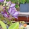 Bespoke Water Features, Roof Terrace, Notting Hill, London