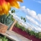 Roof Terrace Planting, London