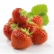 Strawberries photographed for packaging.