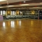 Studio 1 DAPA