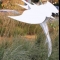 Swan Sculptures